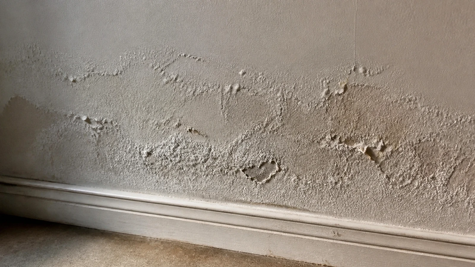 Diagnostiquer l’humidité des murs avant de traiter les surfaces — illustration